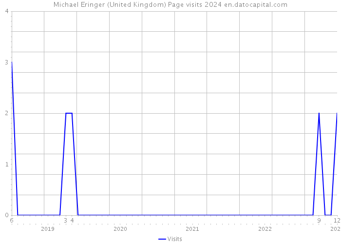 Michael Eringer (United Kingdom) Page visits 2024 
