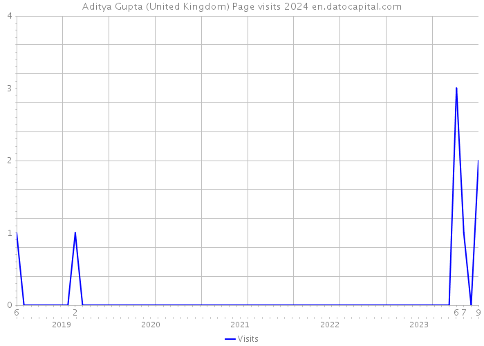 Aditya Gupta (United Kingdom) Page visits 2024 