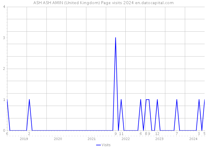 ASH ASH AMIN (United Kingdom) Page visits 2024 
