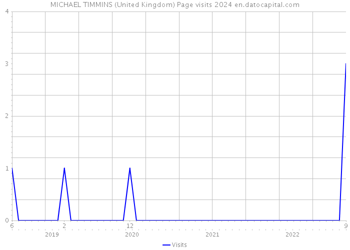 MICHAEL TIMMINS (United Kingdom) Page visits 2024 