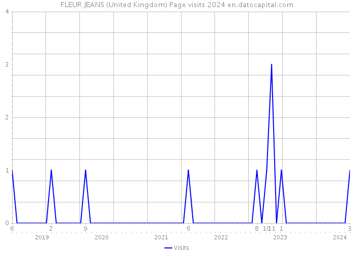 FLEUR JEANS (United Kingdom) Page visits 2024 