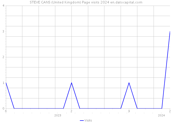 STEVE GANS (United Kingdom) Page visits 2024 