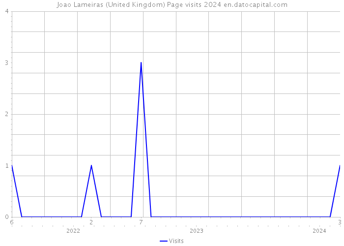 Joao Lameiras (United Kingdom) Page visits 2024 