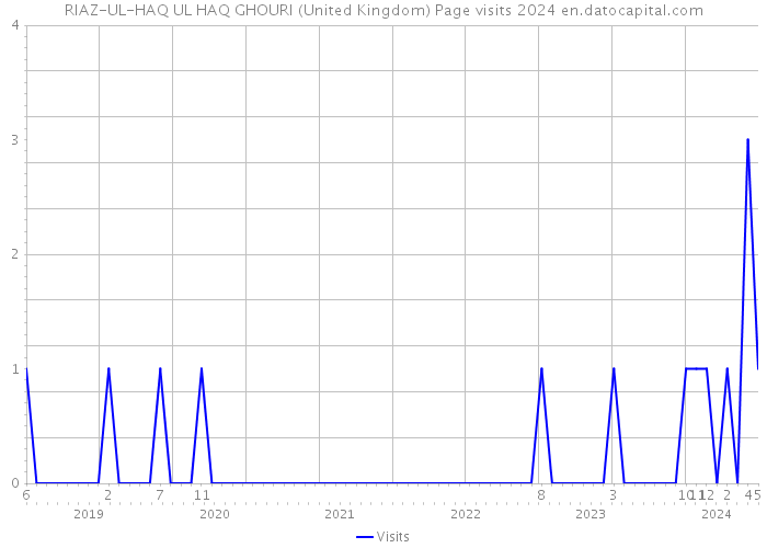 RIAZ-UL-HAQ UL HAQ GHOURI (United Kingdom) Page visits 2024 