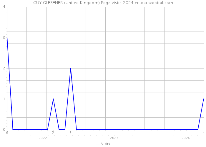 GUY GLESENER (United Kingdom) Page visits 2024 