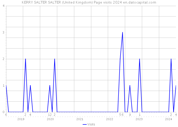 KERRY SALTER SALTER (United Kingdom) Page visits 2024 