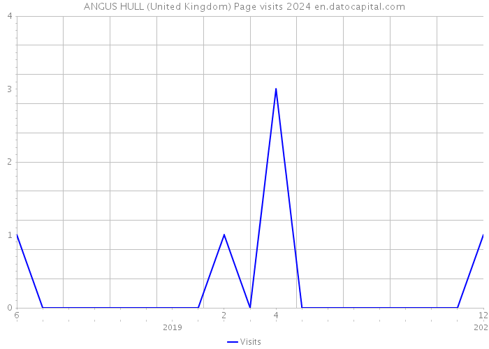 ANGUS HULL (United Kingdom) Page visits 2024 