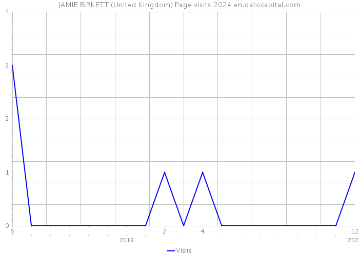 JAMIE BIRKETT (United Kingdom) Page visits 2024 