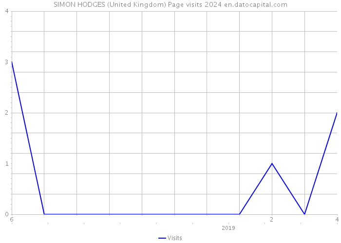 SIMON HODGES (United Kingdom) Page visits 2024 