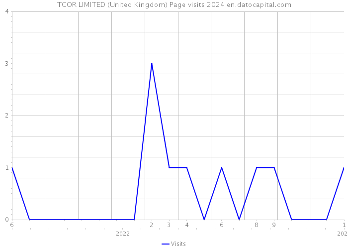 TCOR LIMITED (United Kingdom) Page visits 2024 