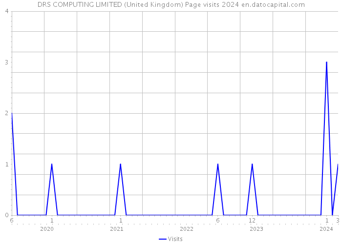 DRS COMPUTING LIMITED (United Kingdom) Page visits 2024 