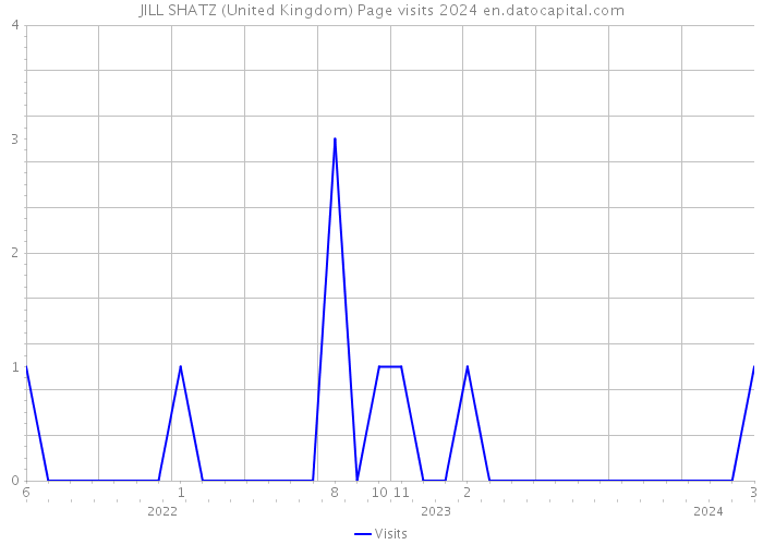 JILL SHATZ (United Kingdom) Page visits 2024 