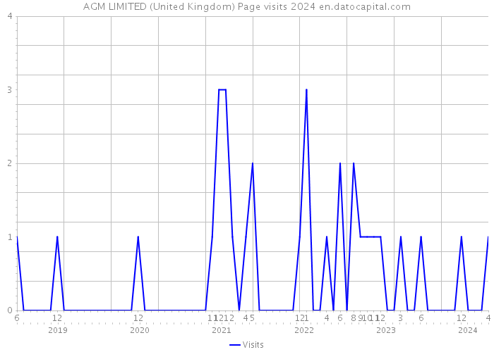 AGM LIMITED (United Kingdom) Page visits 2024 