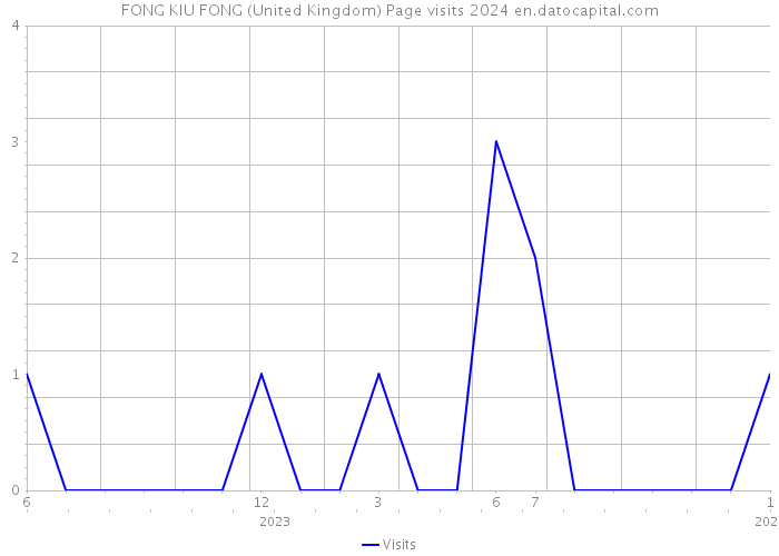 FONG KIU FONG (United Kingdom) Page visits 2024 