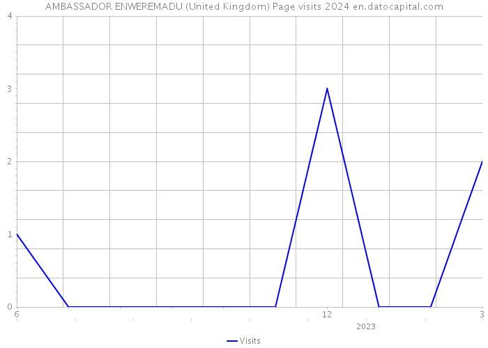 AMBASSADOR ENWEREMADU (United Kingdom) Page visits 2024 