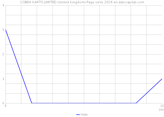 COBRA KARTS LIMITED (United Kingdom) Page visits 2024 