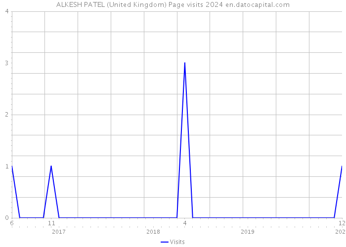 ALKESH PATEL (United Kingdom) Page visits 2024 