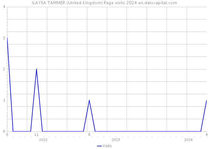 ILAYSA TAMMER (United Kingdom) Page visits 2024 
