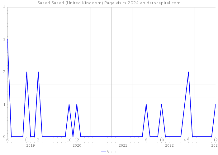 Saeed Saeed (United Kingdom) Page visits 2024 