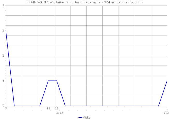 BRAIN WADLOW (United Kingdom) Page visits 2024 