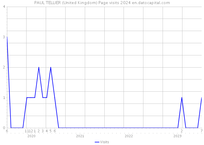 PAUL TELLIER (United Kingdom) Page visits 2024 