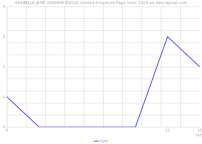 ARABELLA JANE GRAHAM ENOCK (United Kingdom) Page visits 2024 