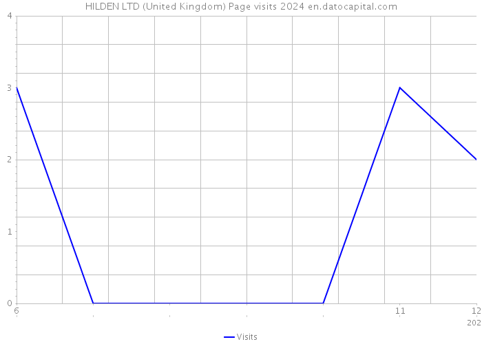 HILDEN LTD (United Kingdom) Page visits 2024 