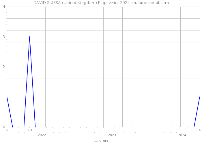 DAVID SUISSA (United Kingdom) Page visits 2024 
