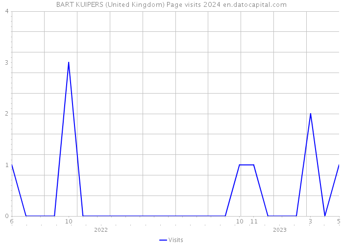 BART KUIPERS (United Kingdom) Page visits 2024 