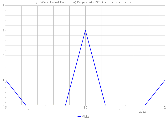 Enyu Wei (United Kingdom) Page visits 2024 