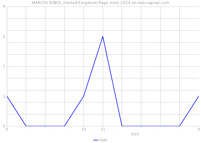 MARCIN SOBOL (United Kingdom) Page visits 2024 