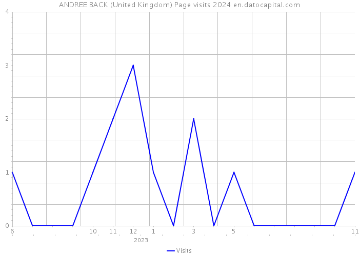 ANDREE BACK (United Kingdom) Page visits 2024 