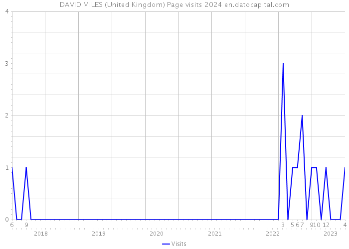 DAVID MILES (United Kingdom) Page visits 2024 