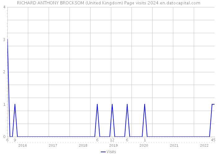 RICHARD ANTHONY BROCKSOM (United Kingdom) Page visits 2024 
