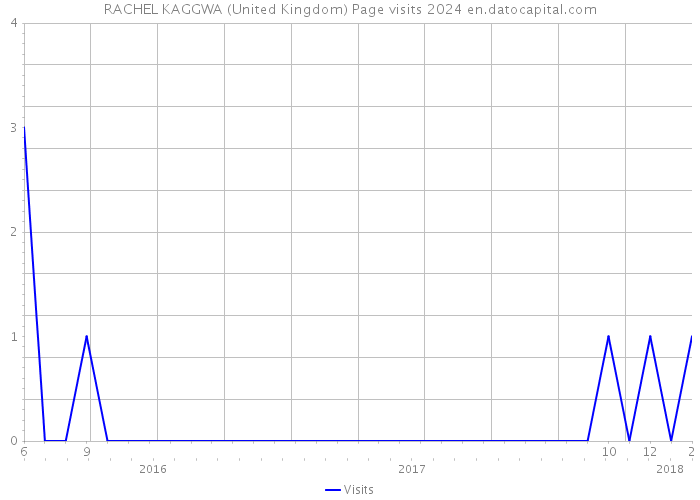 RACHEL KAGGWA (United Kingdom) Page visits 2024 