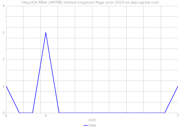 VALLUGA PEAK LIMITED (United Kingdom) Page visits 2024 