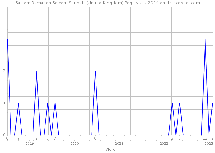 Saleem Ramadan Saleem Shubair (United Kingdom) Page visits 2024 