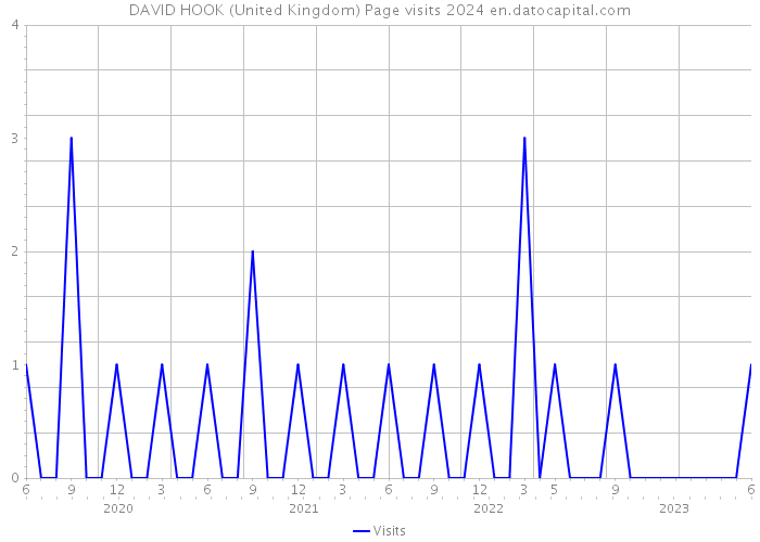 DAVID HOOK (United Kingdom) Page visits 2024 