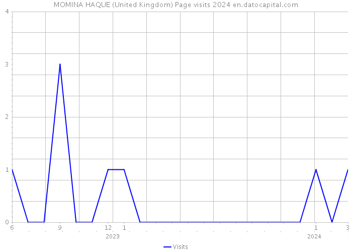 MOMINA HAQUE (United Kingdom) Page visits 2024 