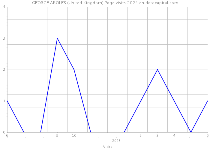 GEORGE AROLES (United Kingdom) Page visits 2024 