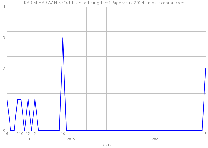 KARIM MARWAN NSOULI (United Kingdom) Page visits 2024 