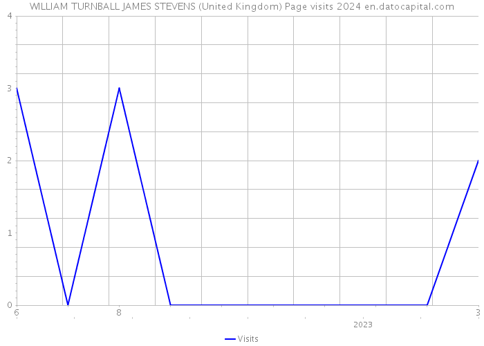 WILLIAM TURNBALL JAMES STEVENS (United Kingdom) Page visits 2024 