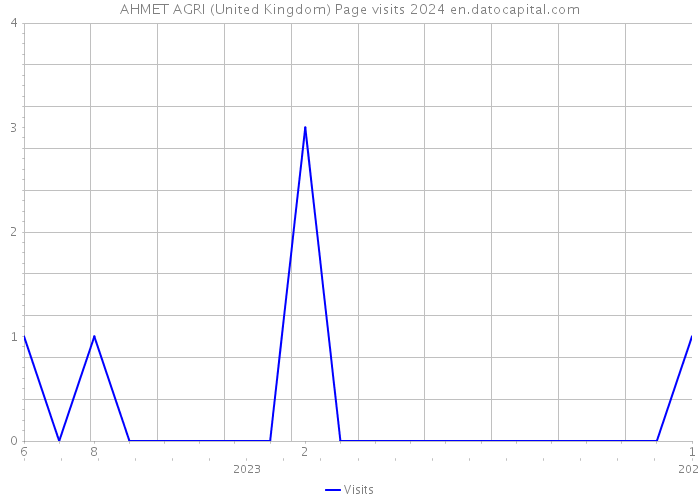 AHMET AGRI (United Kingdom) Page visits 2024 
