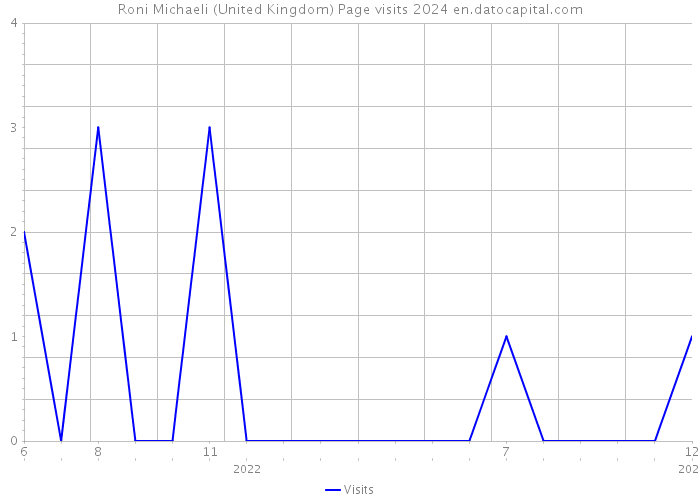 Roni Michaeli (United Kingdom) Page visits 2024 