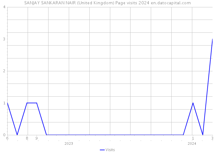SANJAY SANKARAN NAIR (United Kingdom) Page visits 2024 
