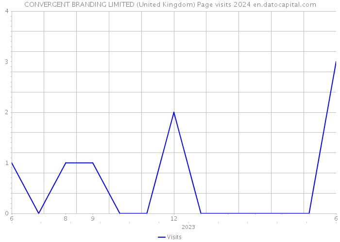 CONVERGENT BRANDING LIMITED (United Kingdom) Page visits 2024 