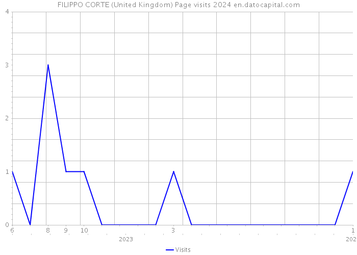 FILIPPO CORTE (United Kingdom) Page visits 2024 
