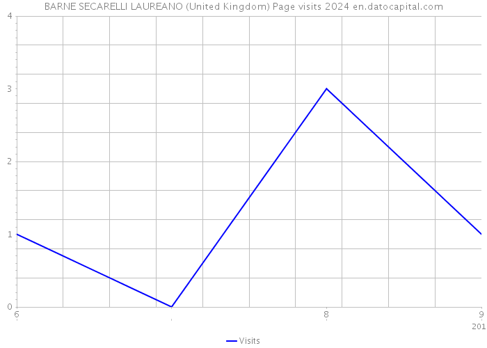BARNE SECARELLI LAUREANO (United Kingdom) Page visits 2024 