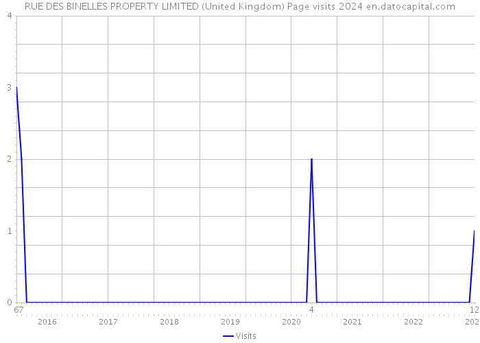 RUE DES BINELLES PROPERTY LIMITED (United Kingdom) Page visits 2024 