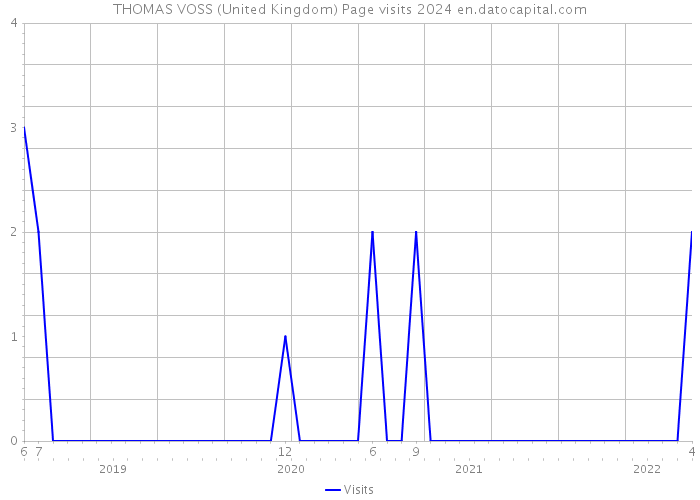 THOMAS VOSS (United Kingdom) Page visits 2024 
